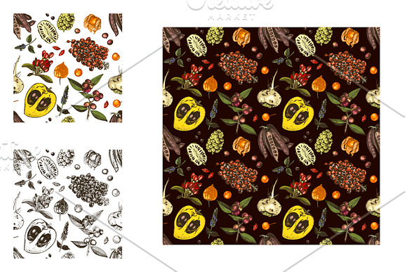 Hand drawn superfood set in Illustrations - product preview 9