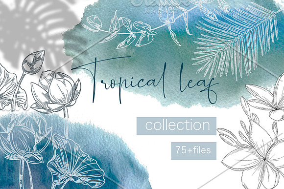 Tropical leaf collection in Illustrations - product preview 9