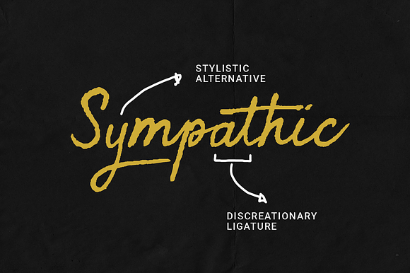Sympathic in Script Fonts - product preview 3