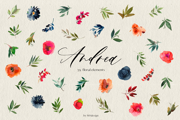 Andrea Watercolor Orange Blue Floral in Illustrations - product preview 5