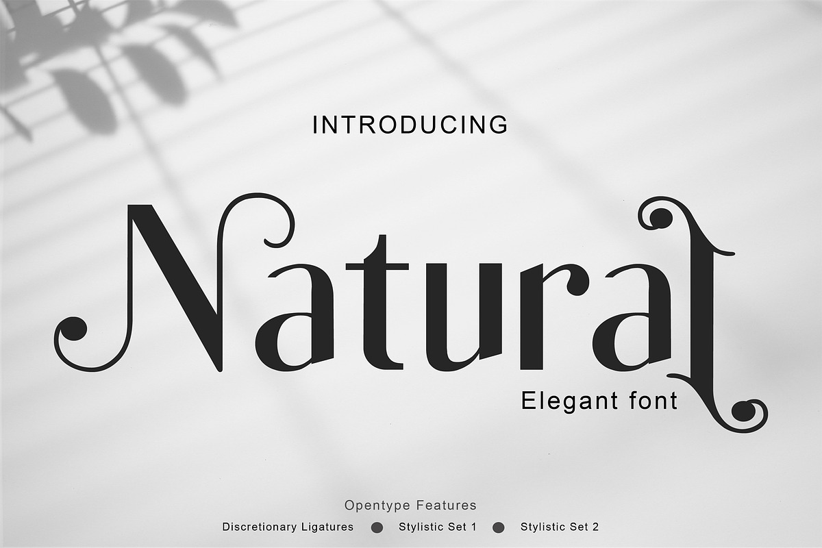Natural in Sans-Serif Fonts - product preview 8