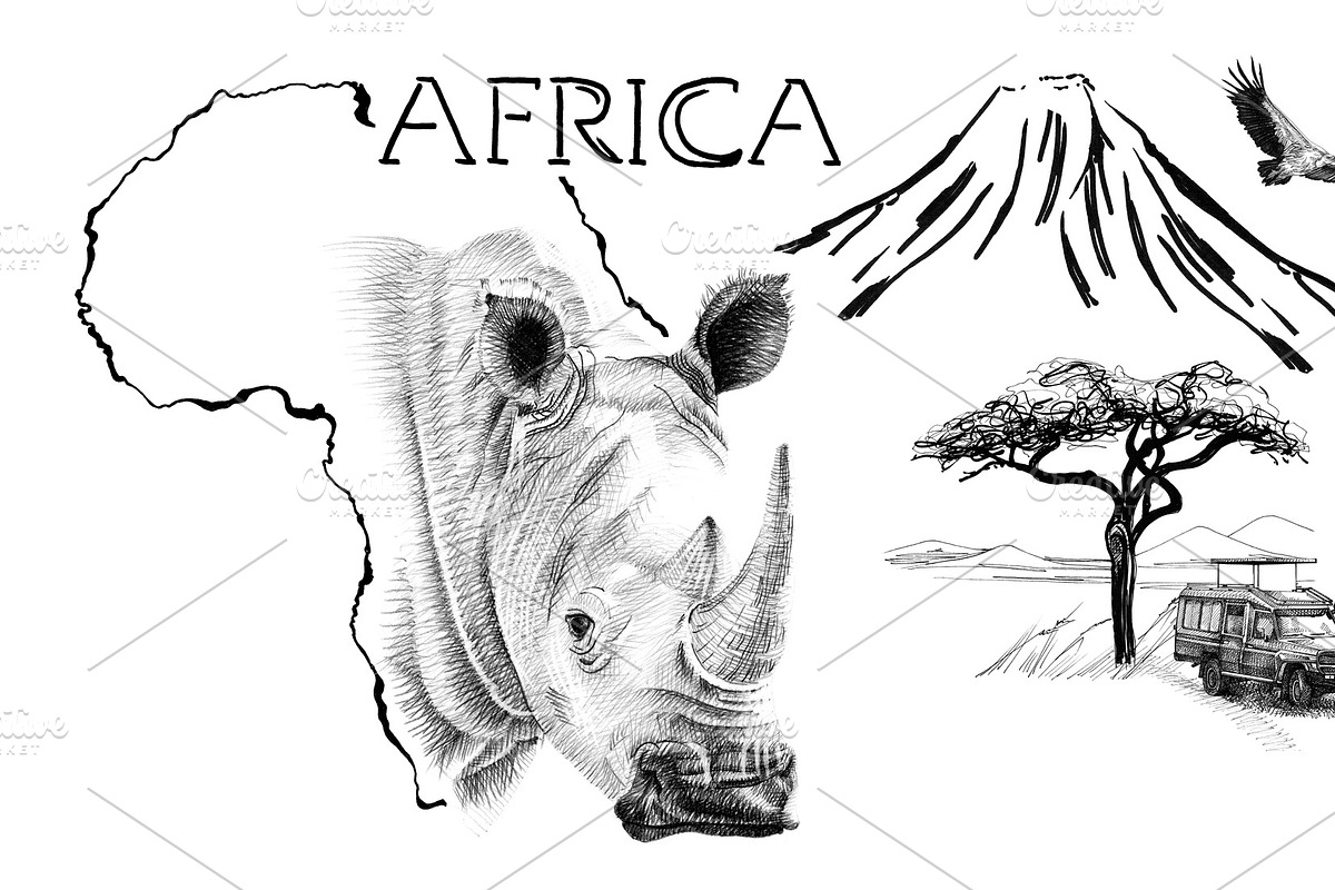 Rhino portrait on Africa map backgro in Illustrations - product preview 8