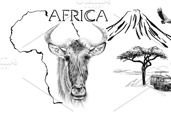 Wildebeest portrait on Africa map ba