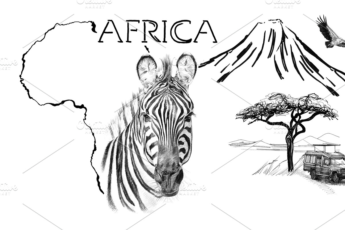 Zebra portrait on Africa map backgro in Illustrations - product preview 8