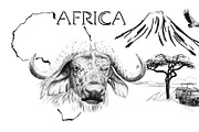 Buffalo portrait on Africa map backg