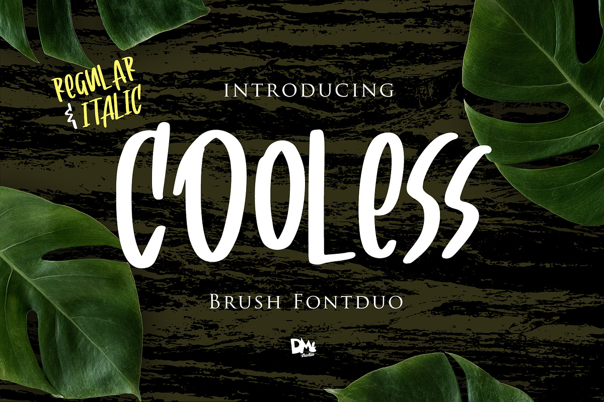 Cooless - Brush Font Duo in Display Fonts - product preview 8