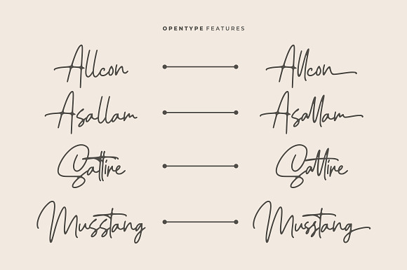 Ellouise - Handwriting Font in Script Fonts - product preview 5