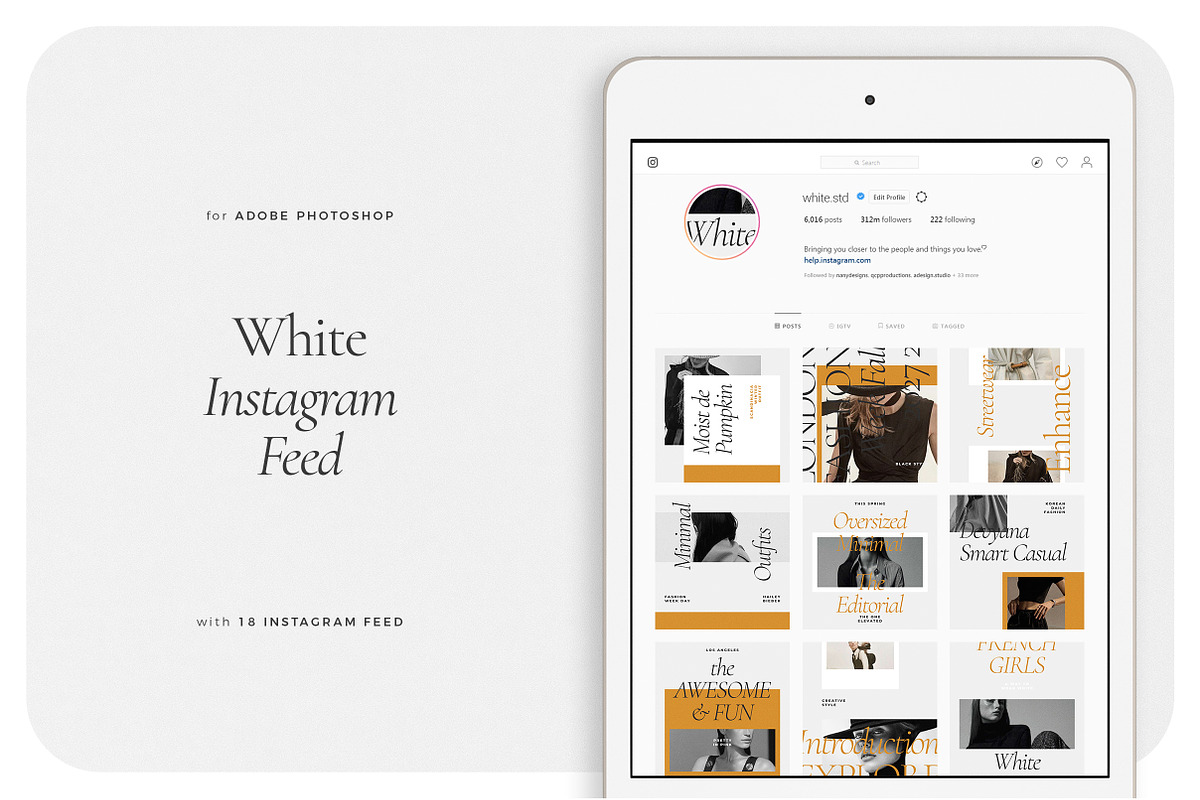 WHITE Instagram Feed in Instagram Templates - product preview 8