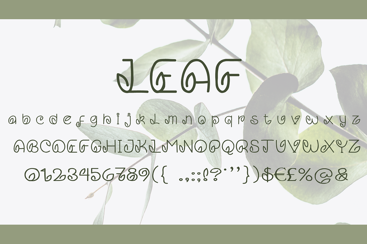 Leaf Handwritten Font in Display Fonts - product preview 5
