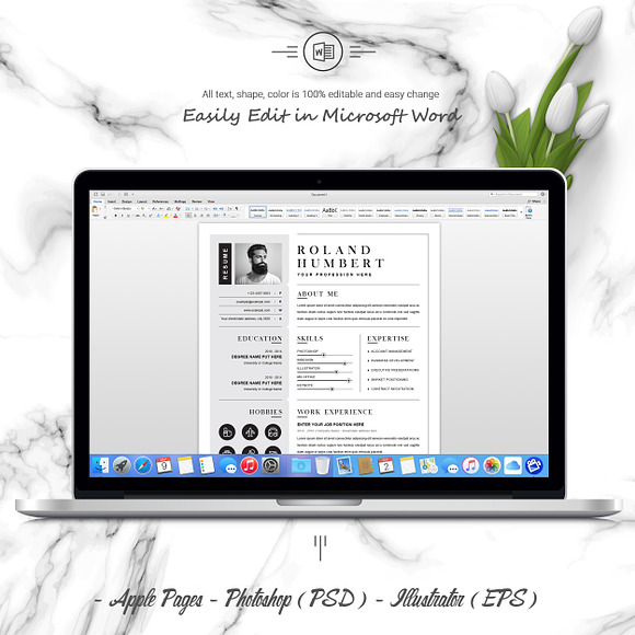 1 Page Resume Template / CV Design in Letter Templates - product preview 3