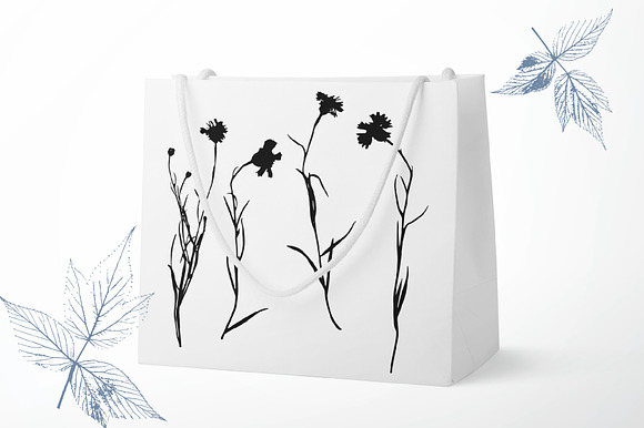 Summer Grasses & Flowers Collection in Illustrations - product preview 5