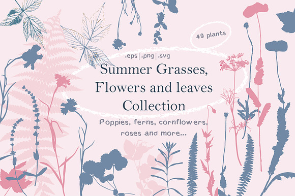Summer Grasses & Flowers Collection in Illustrations - product preview 7