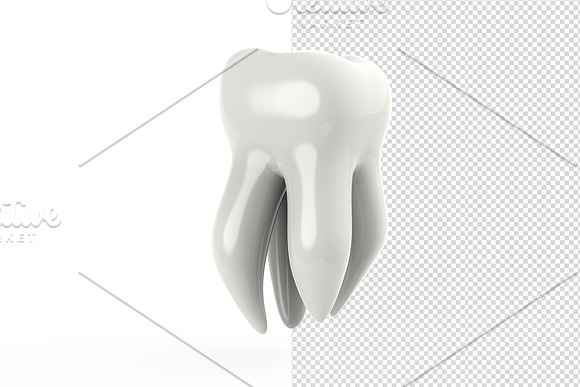 Tooth 3D renders - 6 Views in Objects - product preview 11