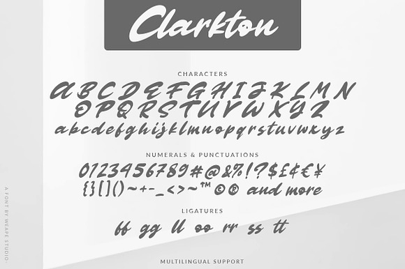 Clarkton - Bold Script Font in Script Fonts - product preview 5