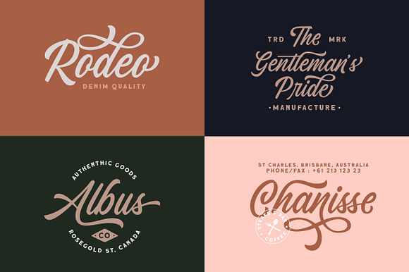 Chanide Script in Script Fonts - product preview 11