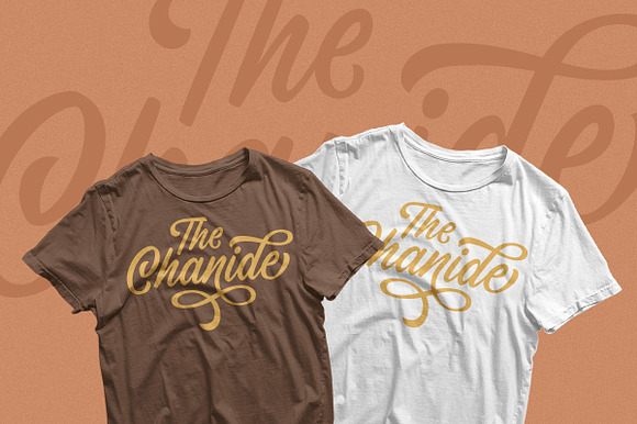 Chanide Script in Script Fonts - product preview 14