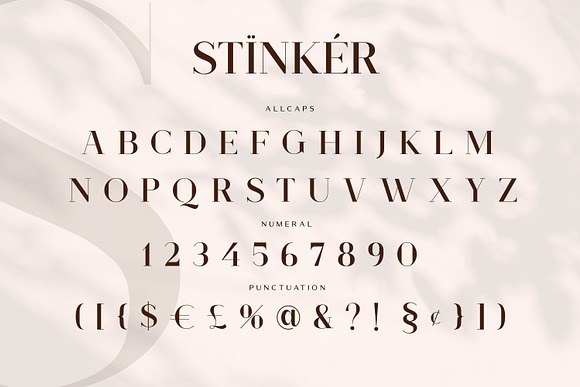 Stinker - Modern Serif Family in Serif Fonts - product preview 7