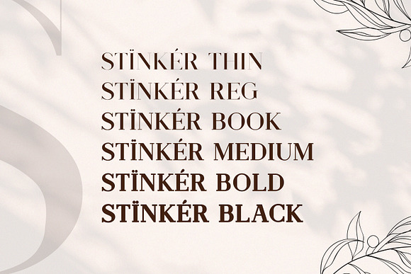 Stinker - Modern Serif Family in Serif Fonts - product preview 8