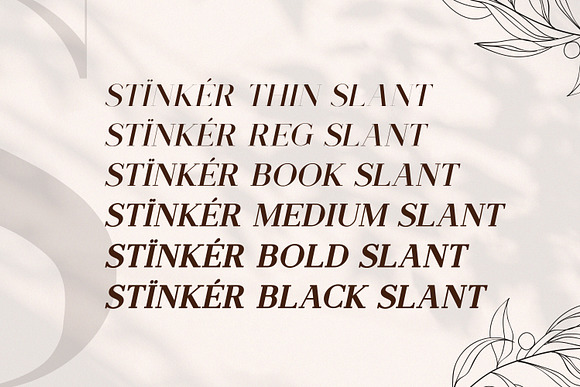 Stinker - Modern Serif Family in Serif Fonts - product preview 9