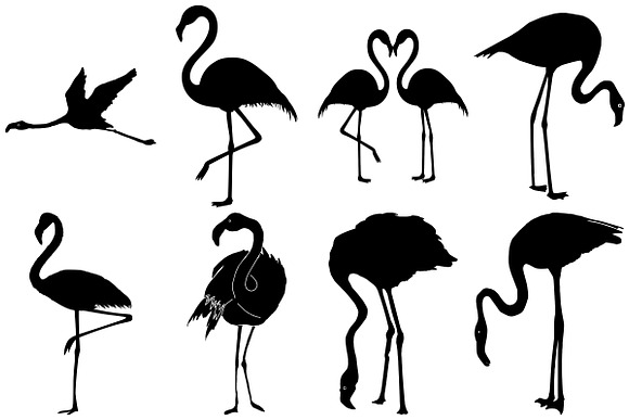 Flamingo AI EPS PNG 5 Bonus Included in Illustrations - product preview 1