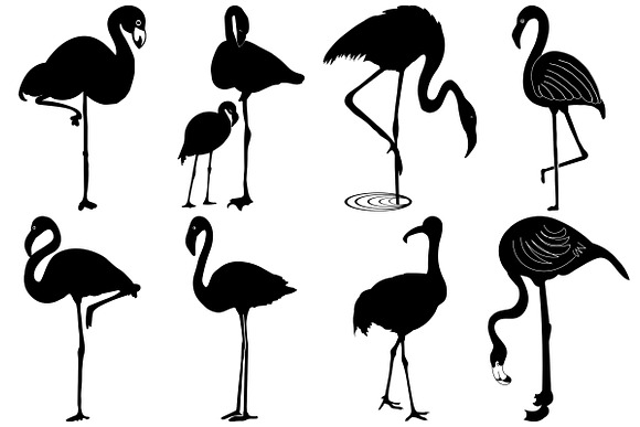 Flamingo AI EPS PNG 5 Bonus Included in Illustrations - product preview 4