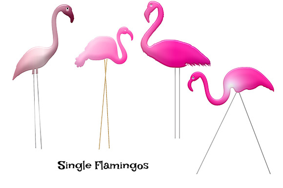 Pink Lawn Flamingos & Grass Clip Art in Illustrations - product preview 1