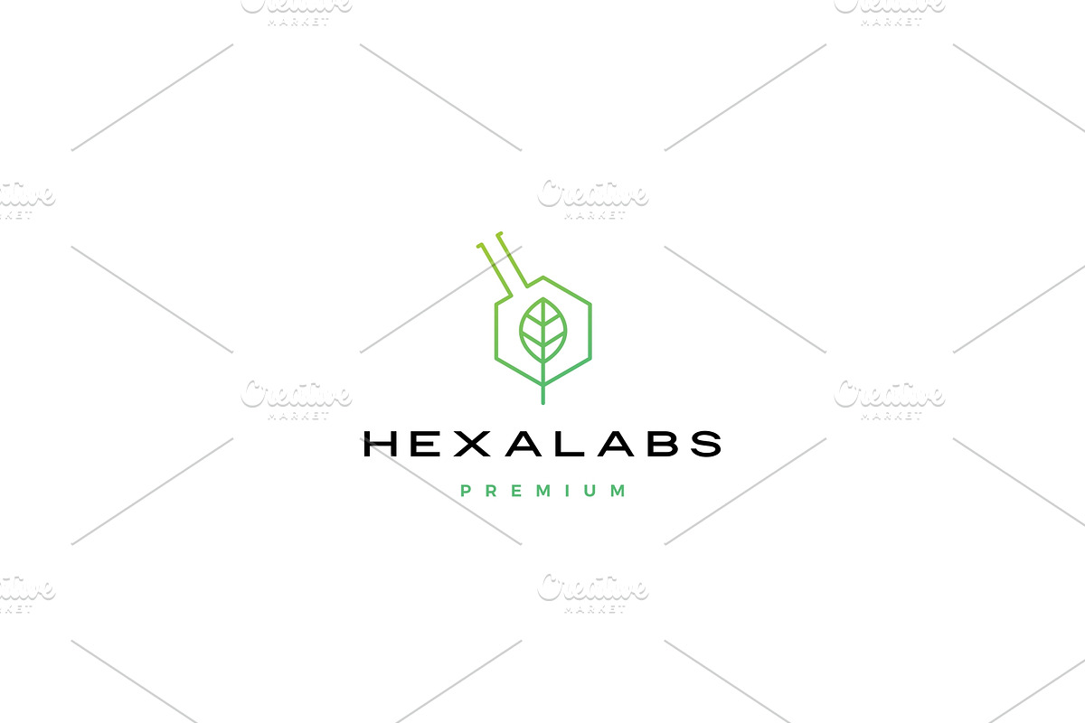hexagon leaf nature lab hexalabs in Logo Templates - product preview 8