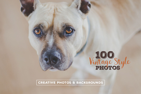 100 Vintage Style Photos v.4 in Graphics - product preview 1