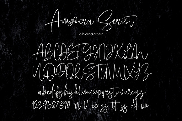 Amboera Script in Script Fonts - product preview 6