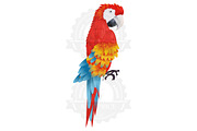 A bright macaw parrot