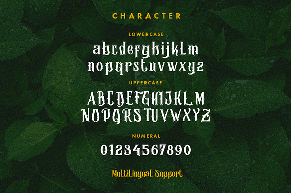 Morgana - Display Font in Display Fonts - product preview 1