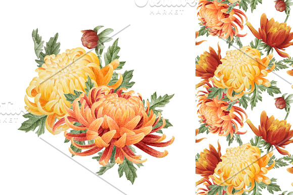 Set of watercolor chrysanthemum in Illustrations - product preview 2