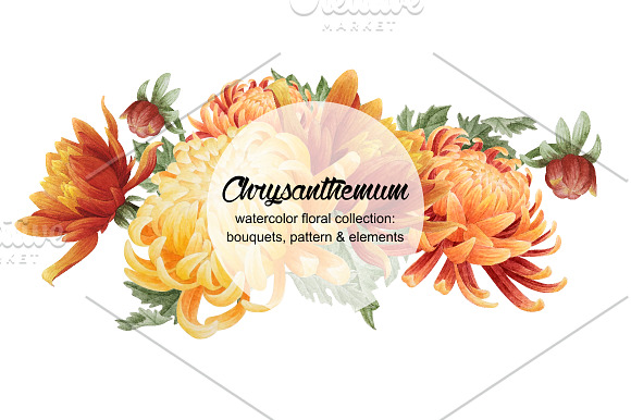Set of watercolor chrysanthemum in Illustrations - product preview 3
