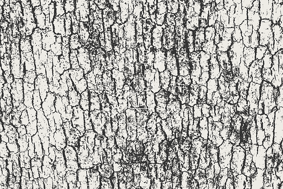 Tree Bark Textures in Textures - product preview 3