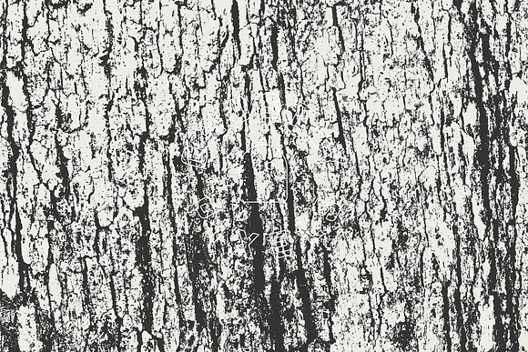 Tree Bark Textures in Textures - product preview 4
