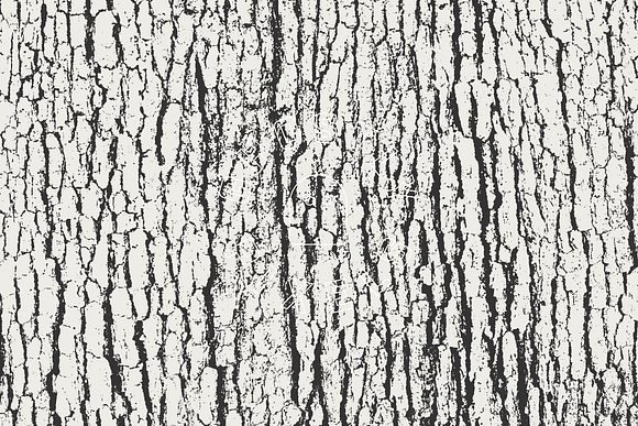 Tree Bark Textures in Textures - product preview 5