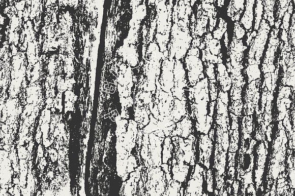 Tree Bark Textures in Textures - product preview 6