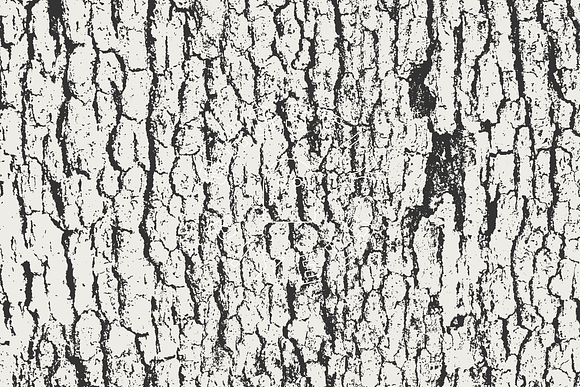 Tree Bark Textures in Textures - product preview 7