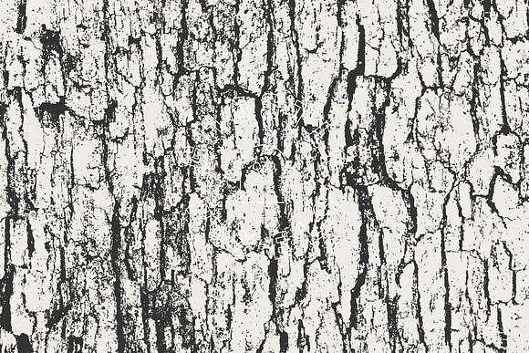 Tree Bark Textures in Textures - product preview 8