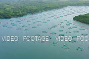 Fish farm with cages for fish and