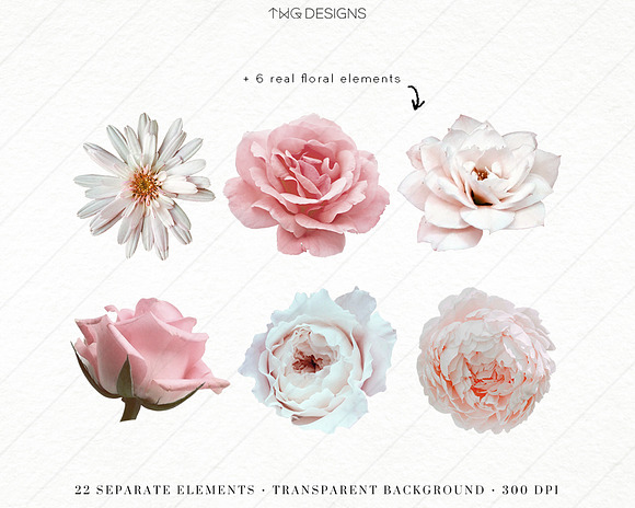 Floral Elements Mixed Media Bundle in Illustrations - product preview 1