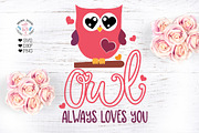 Owl always loves you