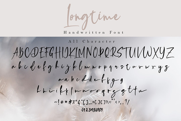 Longtime in Script Fonts - product preview 9