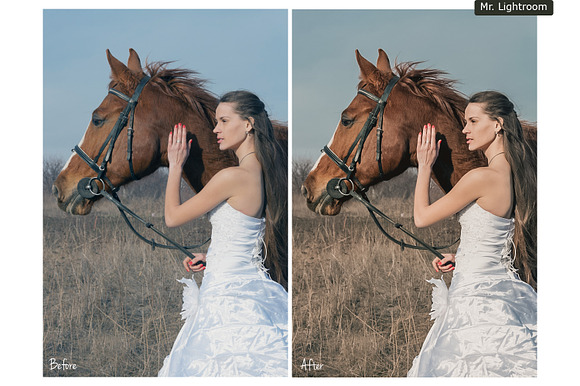 Earth Tones Lightroom Presets in Add-Ons - product preview 1
