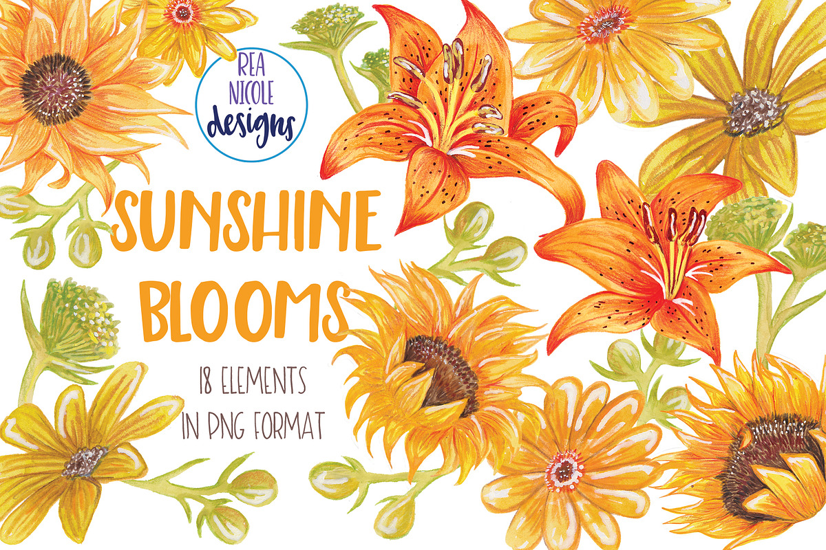 Summer Sunshine Blooms - Clipart in Illustrations - product preview 8