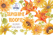 Summer Sunshine Blooms - Clipart