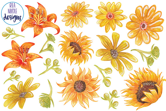 Summer Sunshine Blooms - Clipart in Illustrations - product preview 1