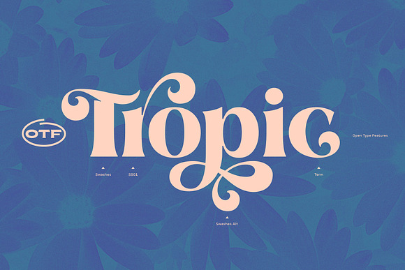 Aprila Font Family in Display Fonts - product preview 2