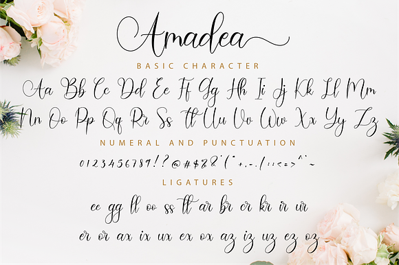 Amadea Script in Script Fonts - product preview 10