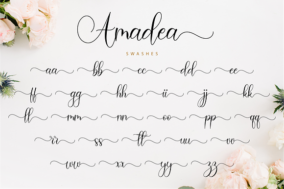 Amadea Script in Script Fonts - product preview 11